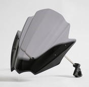 Racingwindschild Naked Bikes