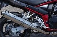 SGSF650-001 Detail Auspuff