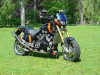 VMax mit Viper 2,livo