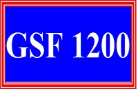 gsf1200