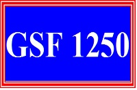 gsf1250