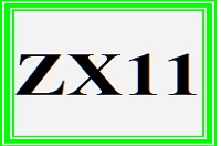 für ZX11